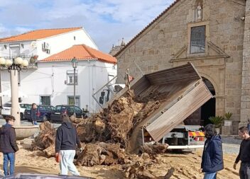 Teixoso: Madeiro já está no largo da Igreja