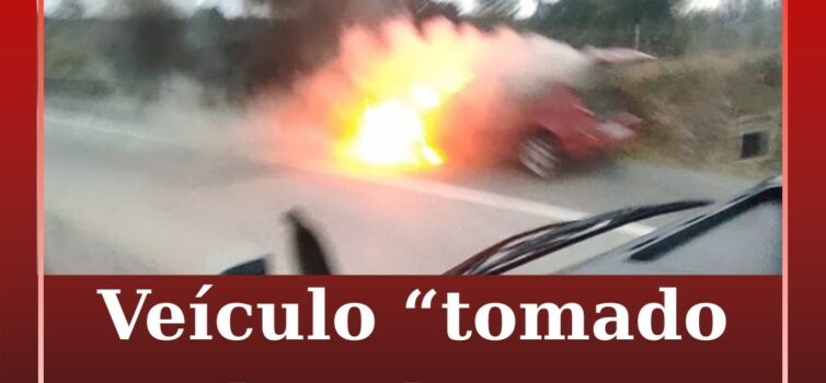 Veículo incendeia-se na A23 junto a Sarnadas de Ródão