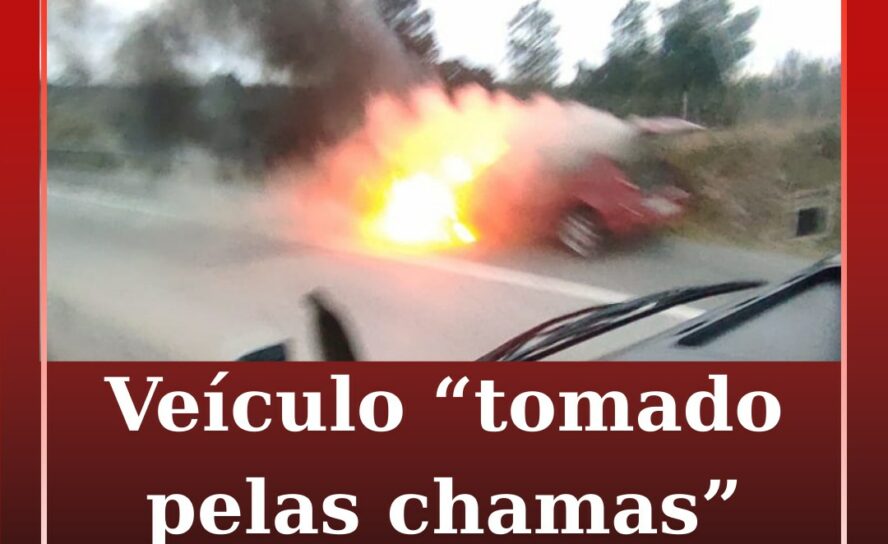 Veículo incendeia-se na A23 junto a Sarnadas de Ródão