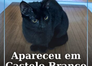 Apareceu em Castelo Branco
