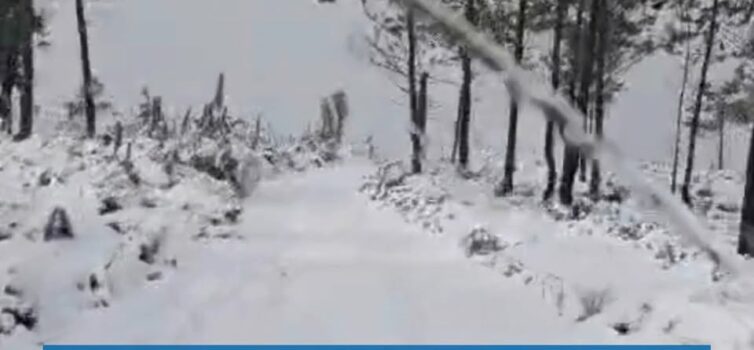 Estreito acorda coberto de neve