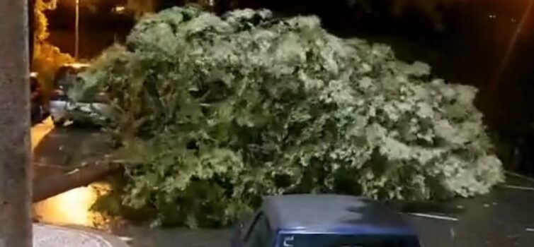 Tempestade Kristin em Castelo Branco