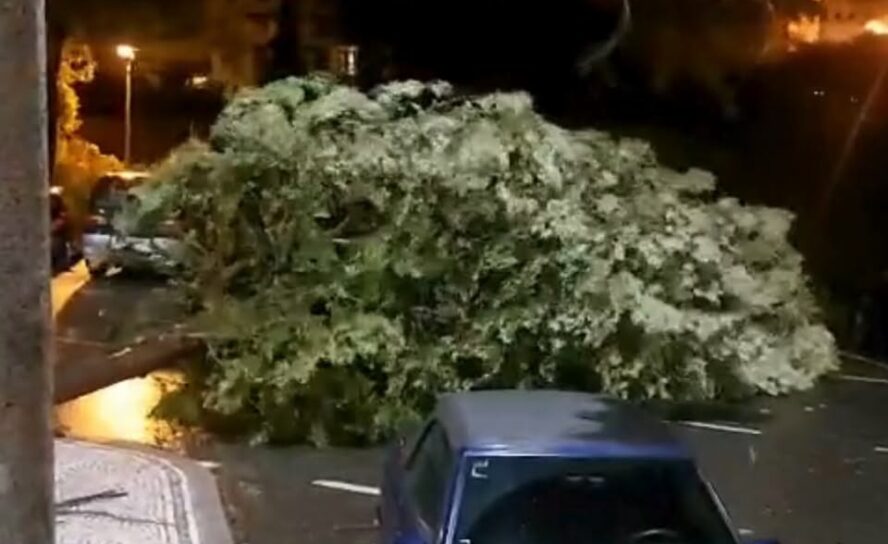 Tempestade Kristin em Castelo Branco