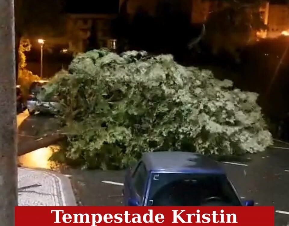 Tempestade Kristin em Castelo Branco