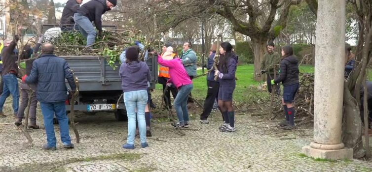 EM DIRETO: BEIRA BAIXA TV