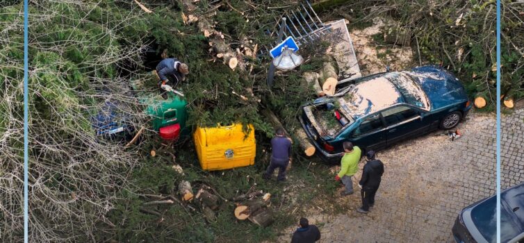 Ação de voluntariado para recuperação da cidade após tempestade Kristin