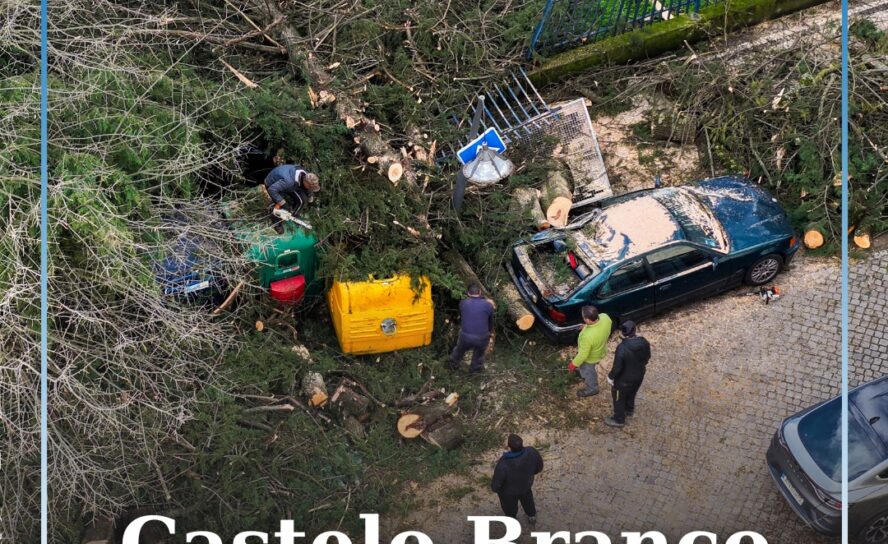 Ação de voluntariado para recuperação da cidade após tempestade Kristin