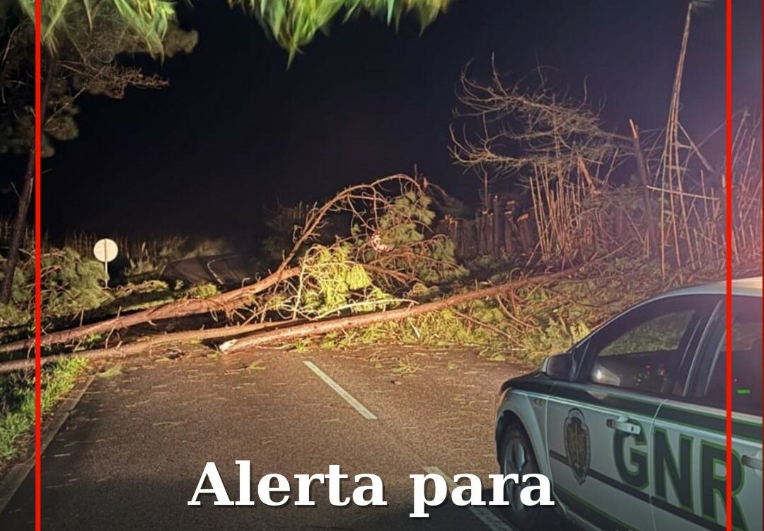 Alerta para presença de burlões