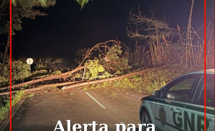 Alerta para presença de burlões
