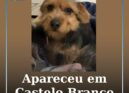 Apareceu em Castelo Branco