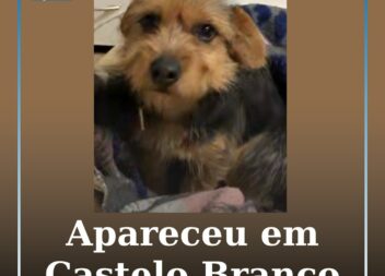 Apareceu em Castelo Branco
