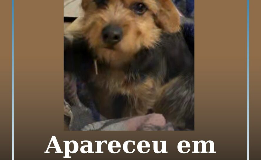 Apareceu em Castelo Branco