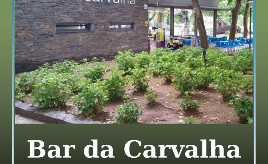 Bar da Carvalha reabre ao público
