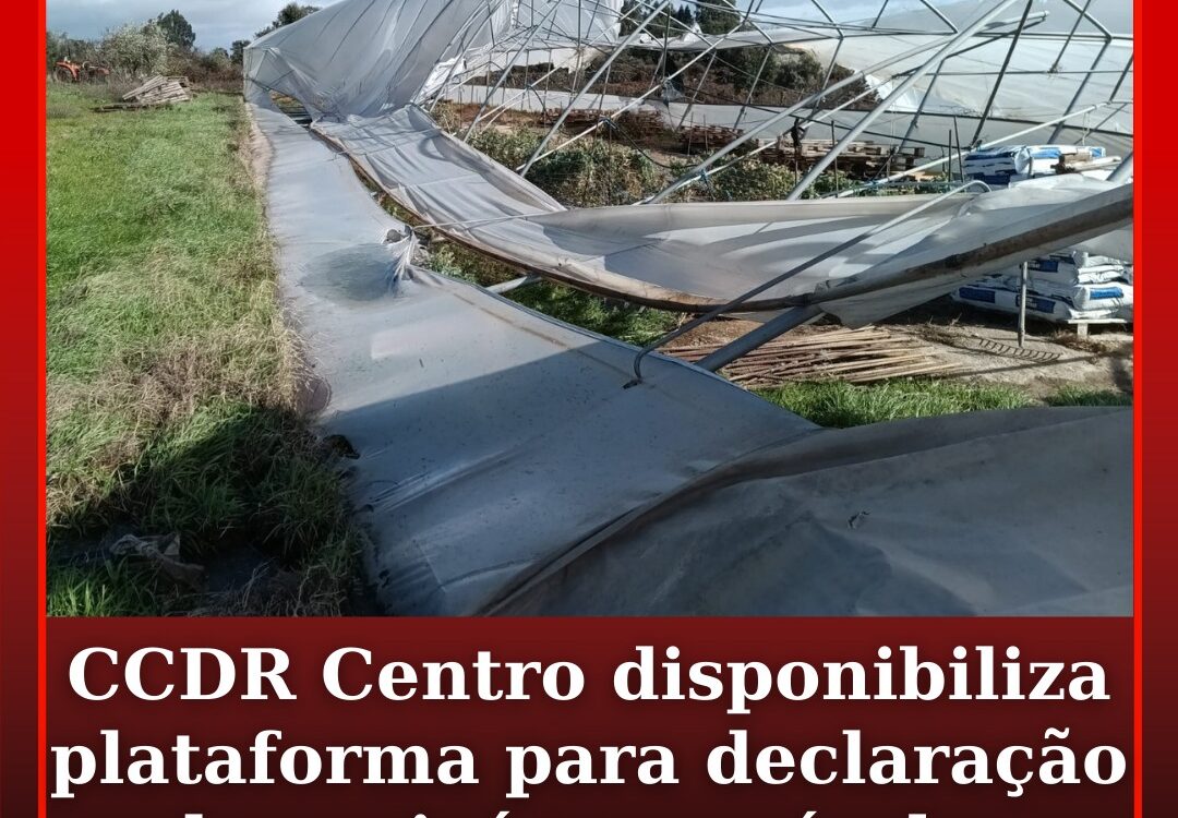 CCDR Centro disponibiliza plataforma para declaração de prejuízos agrícolas