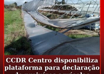 CCDR Centro disponibiliza plataforma para declaração de prejuízos agrícolas