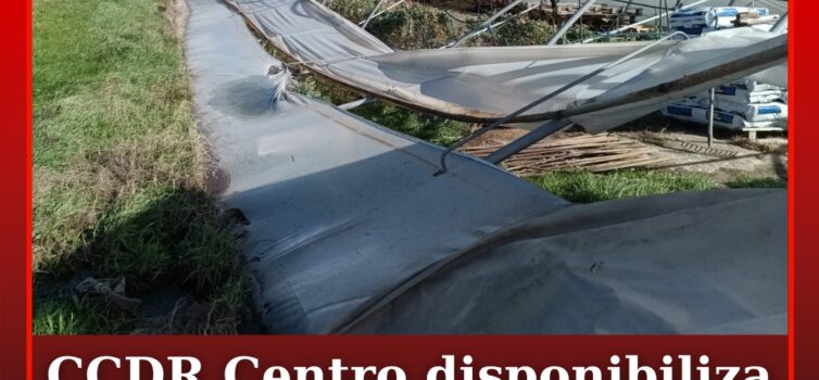 CCDR Centro disponibiliza plataforma para declaração de prejuízos agrícolas