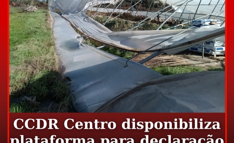 CCDR Centro disponibiliza plataforma para declaração de prejuízos agrícolas
