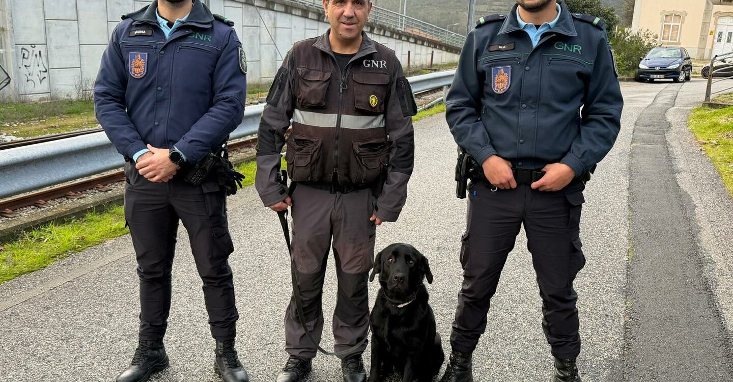 Campanha RAILPOL – 1.ª Fase