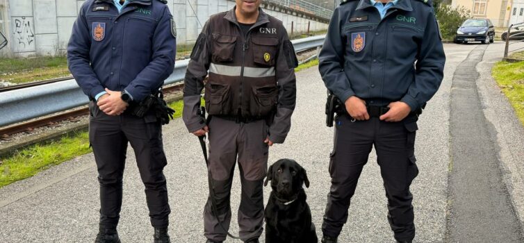 Campanha RAILPOL – 1.ª Fase