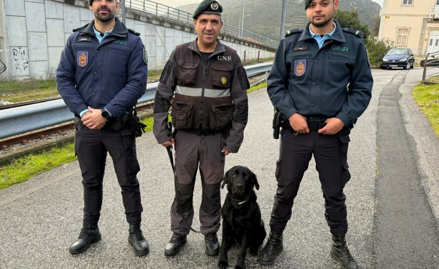 Campanha RAILPOL – 1.ª Fase
