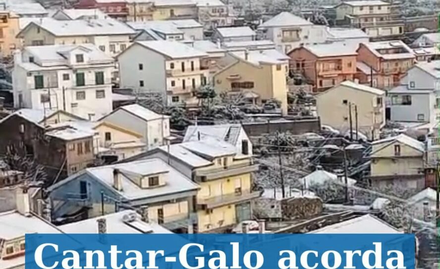 Cantar-Galo acorda coberto de neve