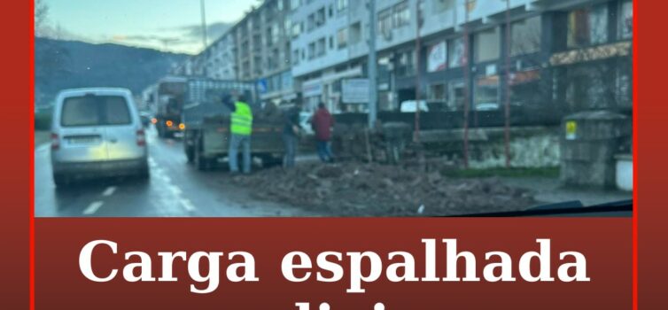 Carga espalhada condiciona trânsito no Fundão