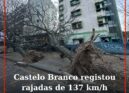 Castelo Branco registou rajadas de 137 km/h durante tempestade Kristin