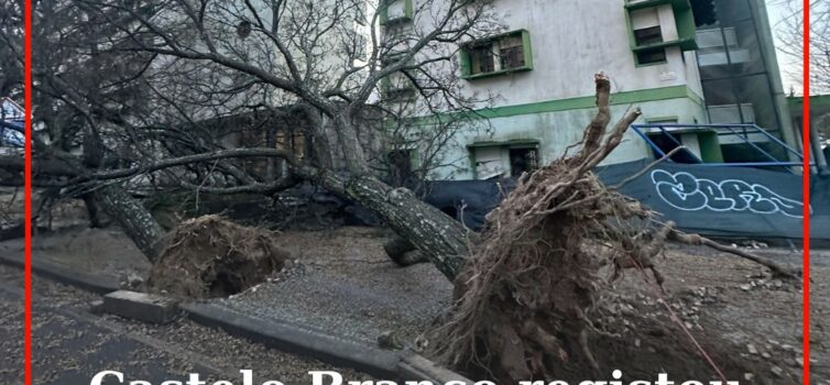 Castelo Branco registou rajadas de 137 km/h durante tempestade Kristin