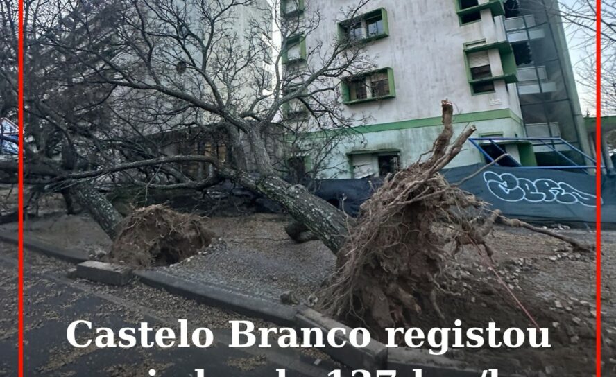 Castelo Branco registou rajadas de 137 km/h durante tempestade Kristin