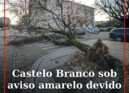 Castelo Branco sob aviso amarelo devido ao vento forte