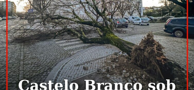 Castelo Branco sob aviso amarelo devido ao vento forte