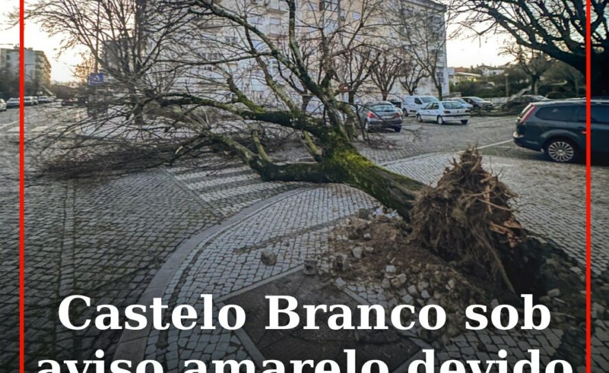 Castelo Branco sob aviso amarelo devido ao vento forte