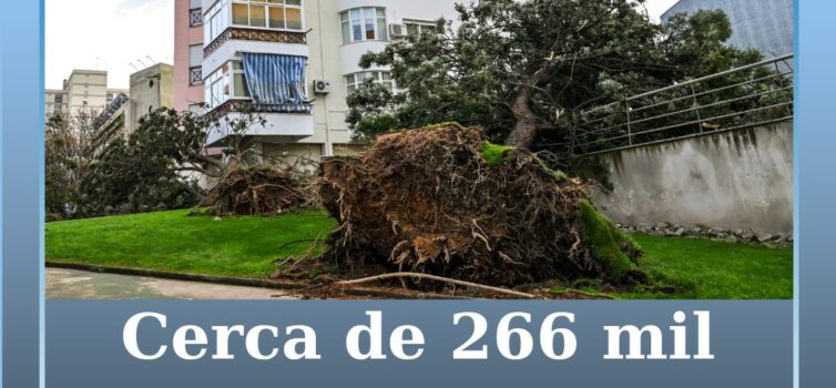 Cerca de 266 mil clientes da E-Redes sem energia