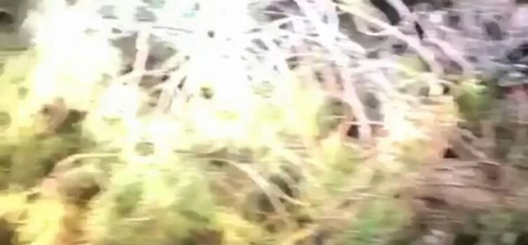 Clube TT mobiliza meios para apoiar população isolada após tempestade Kristin