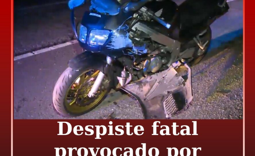 Condutor embriagado provoca morte e foge do local