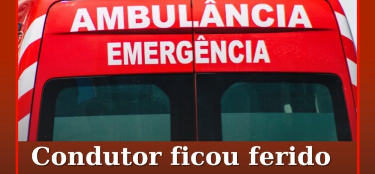 Condutor ficou ferido após queda de árvore em Castelo Branco