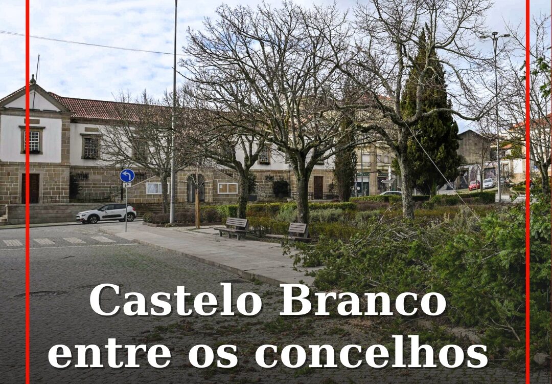 Declaração de calamidade publicada em Diário da República abrange Castelo Branco