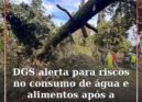 Depressão Kristin obriga DGS a lançar alerta para riscos na água e nos alimentos