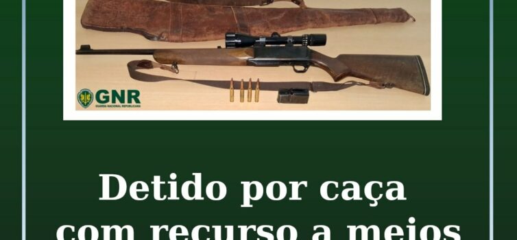 Detido por caça com recurso a meios não permitidos