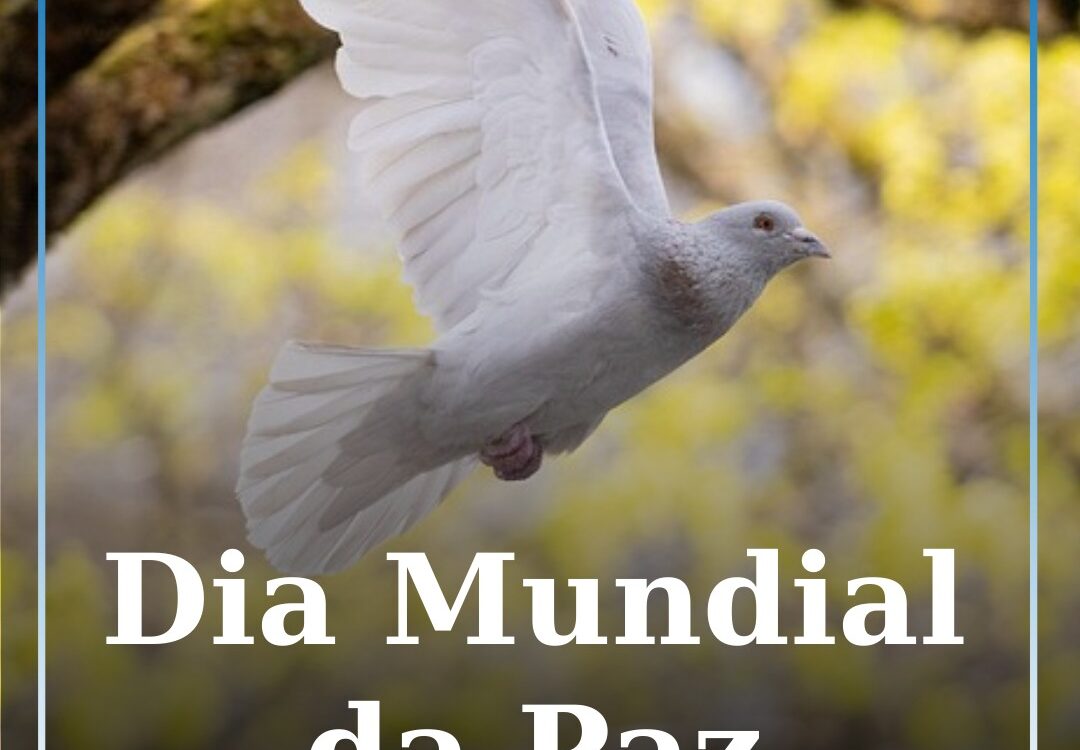Dia Mundial da Paz