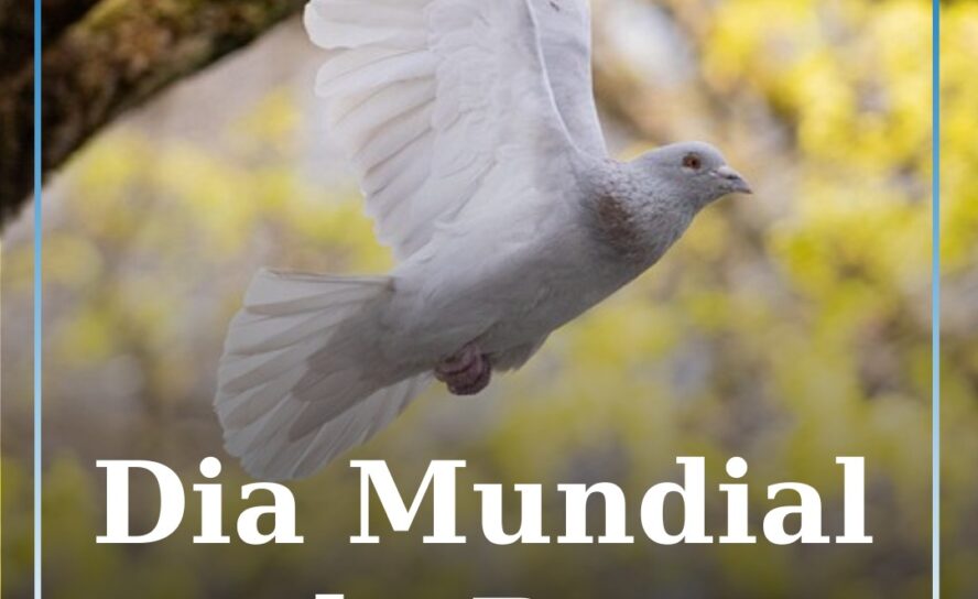 Dia Mundial da Paz