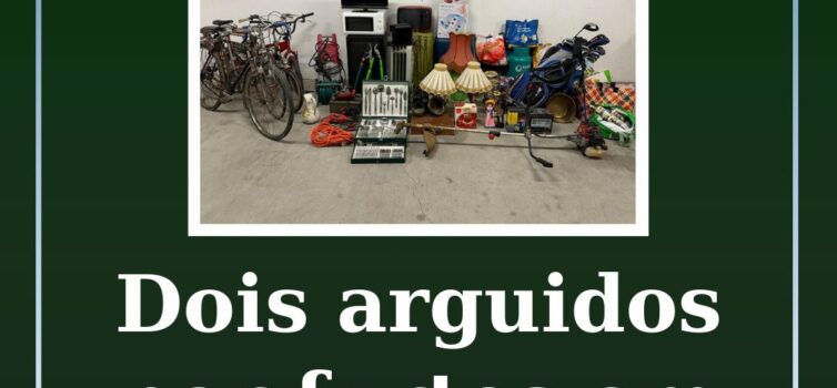 Dois arguidos por furtos em residências