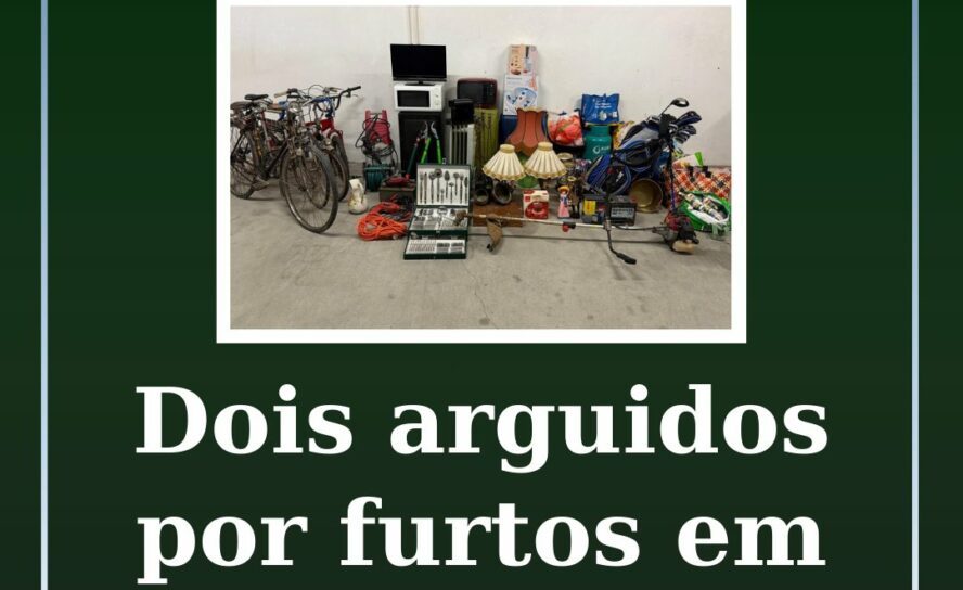 Dois arguidos por furtos em residências
