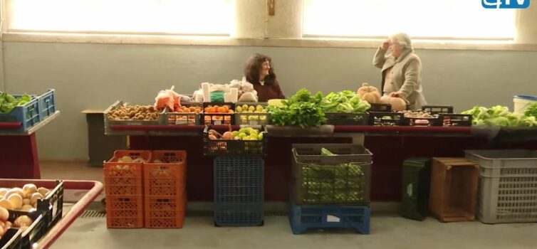 EM DIRETO: MERCADO MUNICIPAL DA COVILHÃ
