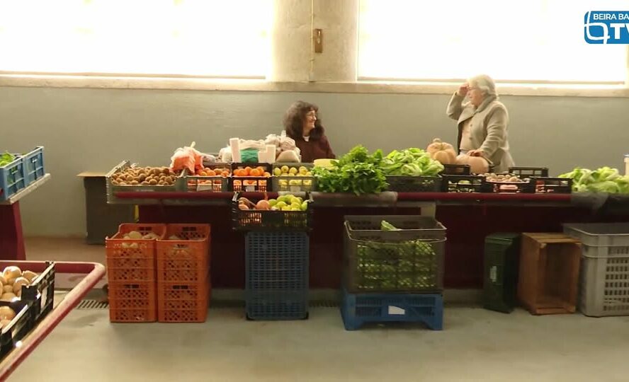 EM DIRETO: MERCADO MUNICIPAL DA COVILHÃ