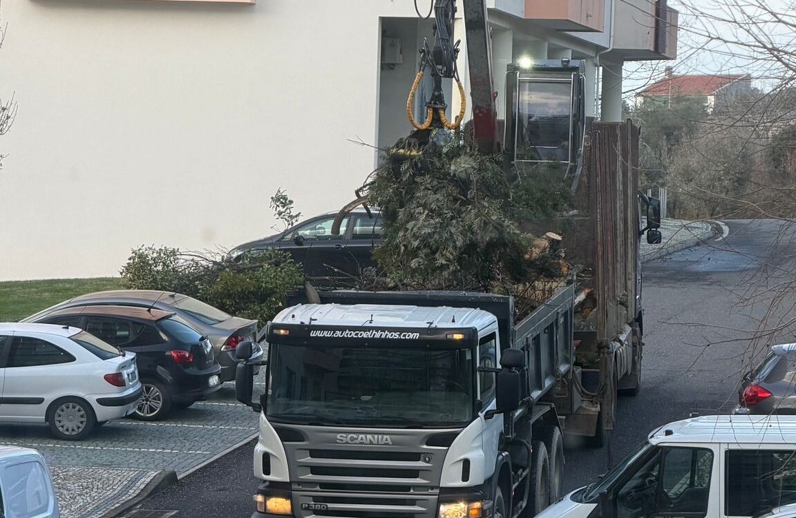 Empresas unem-se na limpeza de Castelo Branco após depressão Kristin