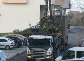 Empresas unem-se na limpeza de Castelo Branco após depressão Kristin