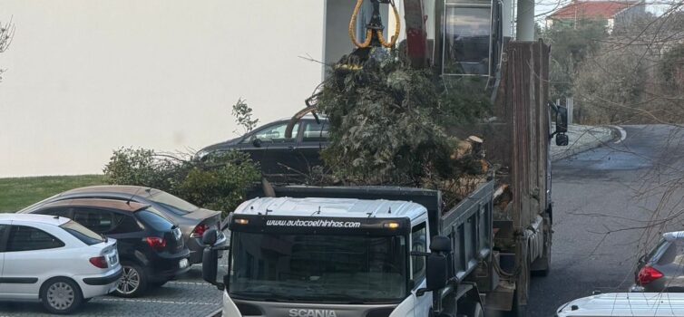 Empresas unem-se na limpeza de Castelo Branco após depressão Kristin