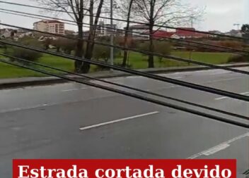 Estrada no Fundão cortada devido à queda de poste