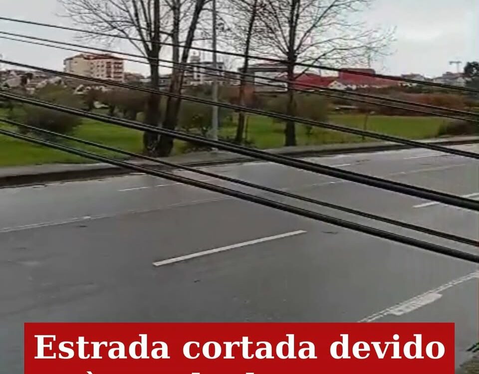 Estrada no Fundão cortada devido à queda de poste